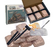 Archeologinių kasinėjimų rinkinys | 6in1 Dinozaurai | Woopie 46170 Archeologinių kasinėjimų rinkinys | 6in1 Dinozaurai | Woopie 46170