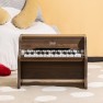 Žaislinis pianinas | Classic World CW40584