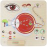 Edukacinė lenta | Regos pojūtis | Montessori | Masterkidz ME15808