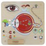 Edukacinė lenta | Regos pojūtis | Montessori | Masterkidz ME15808