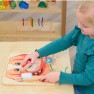 Mokomoji lenta | Montessori dantų higienai | Masterkidz MK30474