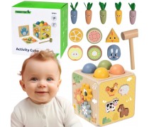 Lavinamasis kubas | medinis, 5in1 | Tooky Toy TP551
