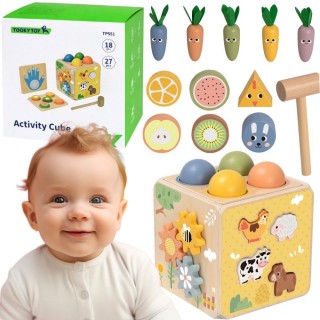 Lavinamasis kubas | medinis, 5in1 | Tooky Toy TP551 Lavinamasis kubas | medinis, 5in1 | Tooky Toy TP551