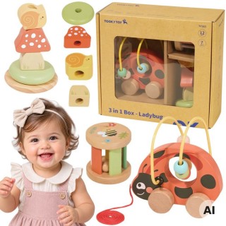 Medinis lavinamasis rinkinys 3in1 | Boružėlė | Tooky Toy TP563 Medinis lavinamasis rinkinys 3in1 | Boružėlė | Tooky Toy TP563