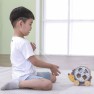 Medinis traukiamas žaislas vaikams | Ežiukas su rūšiuokliu | PolarB | Viga 44025