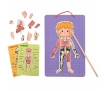 Lavinamasis medinis magnetinis galvosūkis vaikams | Mokantis žmogaus anatomijos - 78 detalės | Tooky TH842