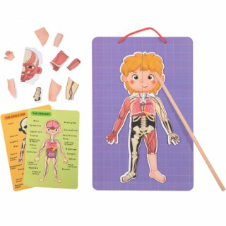 Lavinamasis medinis magnetinis galvosūkis vaikams | Mokantis žmogaus anatomijos - 78 detalės | Tooky TH842